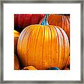 One Beautiful Pumpkin Framed Print