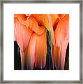 Orange Abstract Framed Print