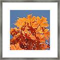 Orange Autumn Leaves Art Prints Blue Sky Framed Print