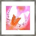 Orchid Abstract Framed Print