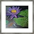 Our Home Under The Lily Pads Framed Print