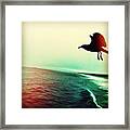 Out Of No Where... #bird #nature #ocean Framed Print