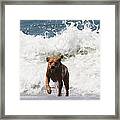 Out Of The Waves Framed Print