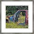 Out To Pasture Framed Print