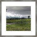 Out To Pasture Framed Print