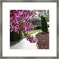 Over Hang Framed Print