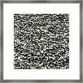Oyster Piles In Oysterville Framed Print