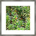 Painterly Foliage Yew Framed Print