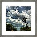 Painting Trees Framed Print