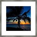 Palm Sunset Framed Print