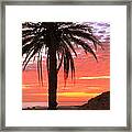 Palm Tree And Dawn Sky Framed Print