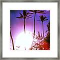 #palmtree #beach #sun #bird #light Framed Print