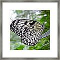 Paper White Framed Print