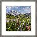 Paradise Meadow And Mount Rainier Mount Framed Print