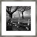 Park Benches Framed Print