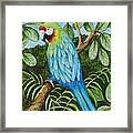 Parrot Framed Print