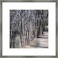 Path-ology Framed Print