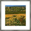 Path Through The Wildflowers Framed Print