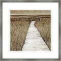 Path To Beauty 2 Framed Print