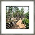 'path To Serenbe' Framed Print