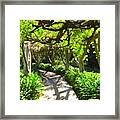 Pathway #pathway #canopy #arbor Framed Print