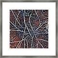 Patterns Of Drought Framed Print