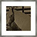 Pause At The Beauty Framed Print