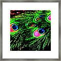 Peacock With Flare Framed Print