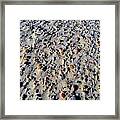 Pebbles In The Wind Framed Print