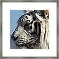 Perfect Profile Framed Print