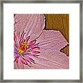 Petals And Plank Framed Print
