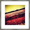 Pic While Driving Framed Print
