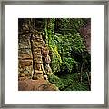 Picture Window View Ii Framed Print
