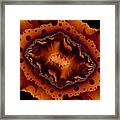 Pieces Of Nature Framed Print