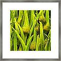 Pike Place Greens Framed Print