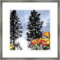 Pine Trees And Roses Framed Print