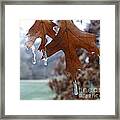 Pinoak And Ice Framed Print