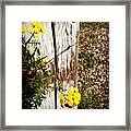 #plant #nature #yellow Framed Print
