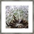 Please Request My Instacanvas Gallery Framed Print