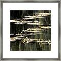 Pond And Grass Abstract Framed Print