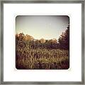 #pond Outback #newhampshire Framed Print