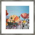 Poppies By The Sea Framed Print