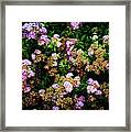 Poppin Floral Bush Framed Print