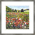 Poppy Fields In France Framed Print