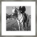 Portuguese Horse Rider Framed Print