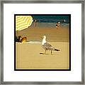 Praia América Framed Print