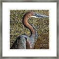Prehistoric Features Framed Print