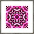 Pretty In Pink Floral 6 Framed Print