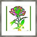 Primary Rose Framed Print