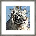 Profile Power Framed Print